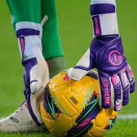 SIRIUS 2.0 PURPLE UGT+ II